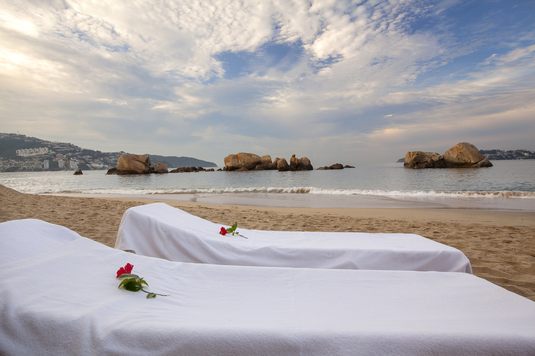 “VFMLID=65278737”